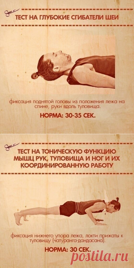 Тесты на функциональную слабость мышц