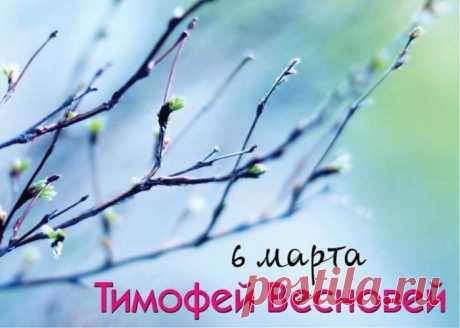 Тимофей Весновей! Если вода по улицам рано потекла, то и сеять нужно рано. Если поздно, то удастся поздний сев.