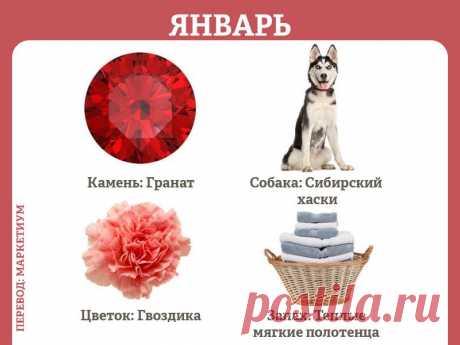 В каком месяце вы родились? Ответ поможет раскрыть поразительные секреты!