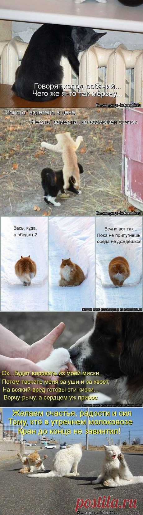 Улыбательные приколы