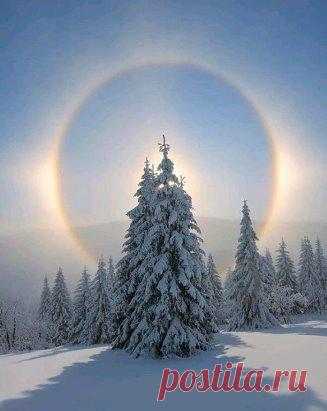 Божественный нимб гало