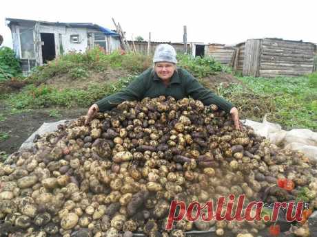 (42) Одноклассники