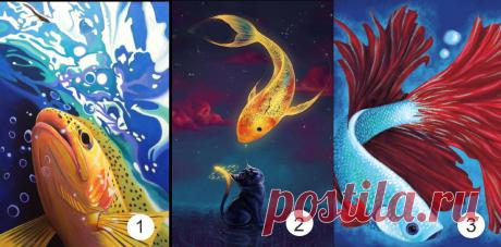 Тест по картинкам: рыбка, которую вы выберете, «нашепчет», что вас ждет в ближайшее время
Хотите получить предсказание? Предлагаем вам пройти сказочный тест с рыбками! На картинке три рыбы. Выберите одну из них! Результаты 1.
Читай дальше на сайте. Жми подробнее ➡