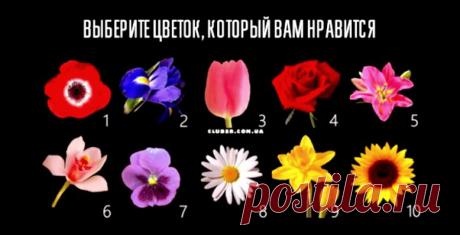 Этот тест расскажет о вас самую секретную информацию
Здравствуйте Уважаемые подписчики и гости канала. Для Вас мы приготовили еще один интересный психологический тест по картинкам. Взгляните на красивые цветы, представленные на картинке ниже. Какой из 10 приглянулся вам больше остальных? Сделайте выбор, и найдите описание своей личности под соответствующим номером. Вы удивитесь, насколько точен тест, он будто бы видит вас насквозь! Секрет прост: […]
Читай дальше на сайте. Жми подробнее ➡