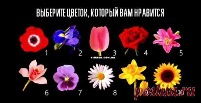 Этот тест расскажет о вас самую секретную информацию
Здравствуйте Уважаемые подписчики и гости канала. Для Вас мы приготовили еще один интересный психологический тест по картинкам. Взгляните на красивые цветы, представленные на картинке ниже. Какой из 10 приглянулся вам больше остальных? Сделайте выбор, и найдите описание своей личности под соответствующим номером. Вы удивитесь, насколько точен тест, он будто бы видит вас насквозь! Секрет прост: […]
Читай дальше на сайте. Жми подробнее ➡