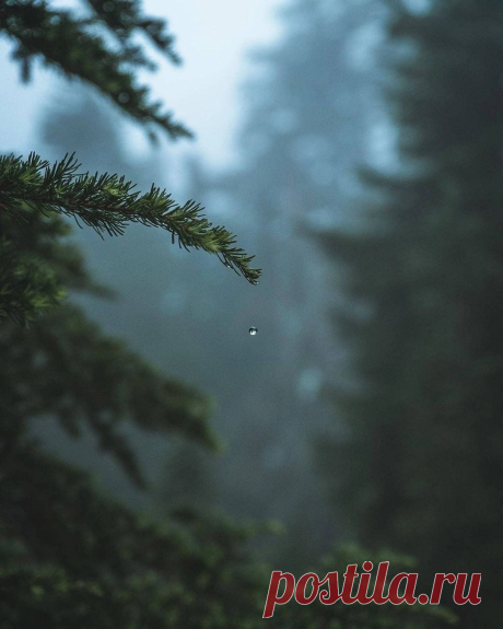 i (1080×1350)