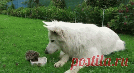 Google+