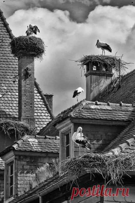 Home / Twitter