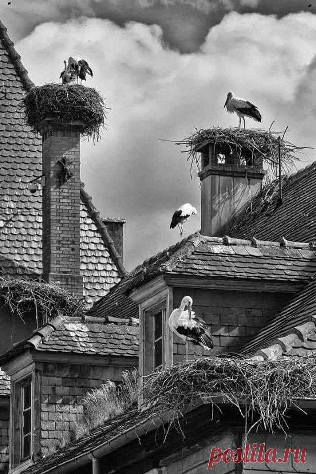 Home / Twitter