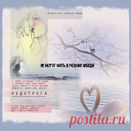 *Не могут жить в разлуке лебеди* ~ Плэйкасты ~ Beesona.Ru