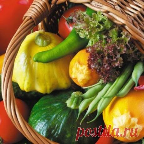 Живые консервы. 9 полезных способов заготовки