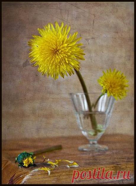 ✿*✿* ВЕРНИСАЖ *✿*✿
Лилия Лаухина