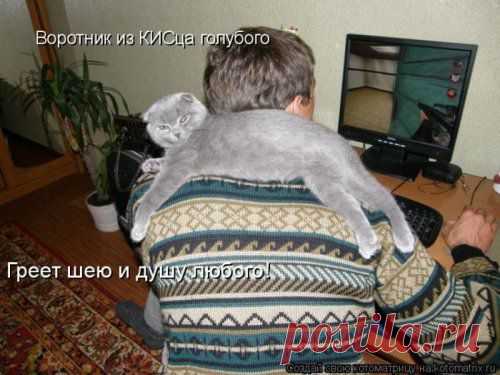 Спу... | KotoMail.ru