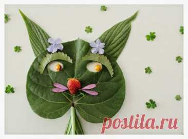 Аппликация из природного материала.