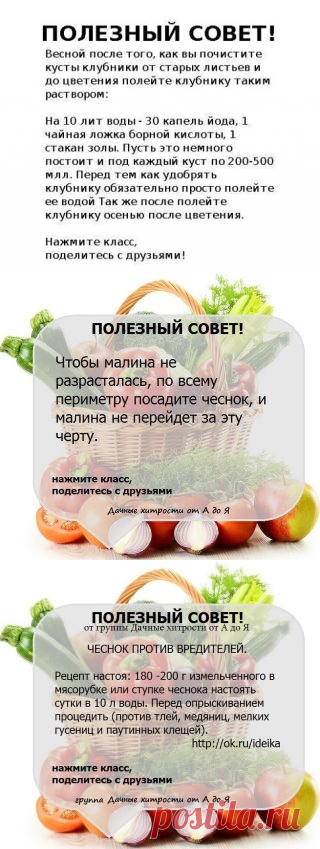 Одноклассники