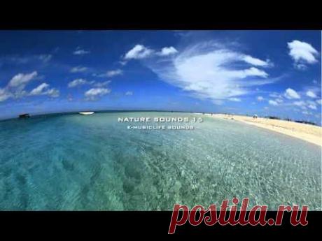 Nature Sound 15 - THE MOST RELAXING SOUNDS - - YouTube