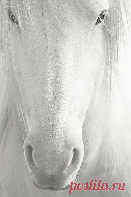 Найдено на сайте frankidurbin.com.