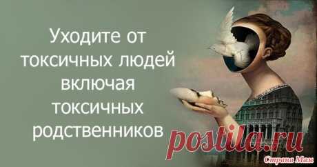 Токсичные родственники Токсичные родственники  Здравствуйте, опять накипело…Опять пишу… Как вы справляетесь с токсичными родственниками?  Пишу начистоту, потому что фальшь здесь не проходит.