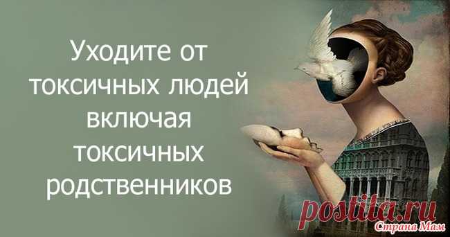Токсичные родственники Токсичные родственники  Здравствуйте, опять накипело…Опять пишу… Как вы справляетесь с токсичными родственниками?  Пишу начистоту, потому что фальшь здесь не проходит.