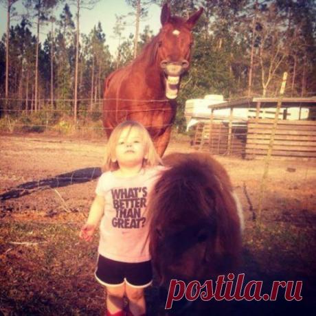 Прикольные фотобомбы