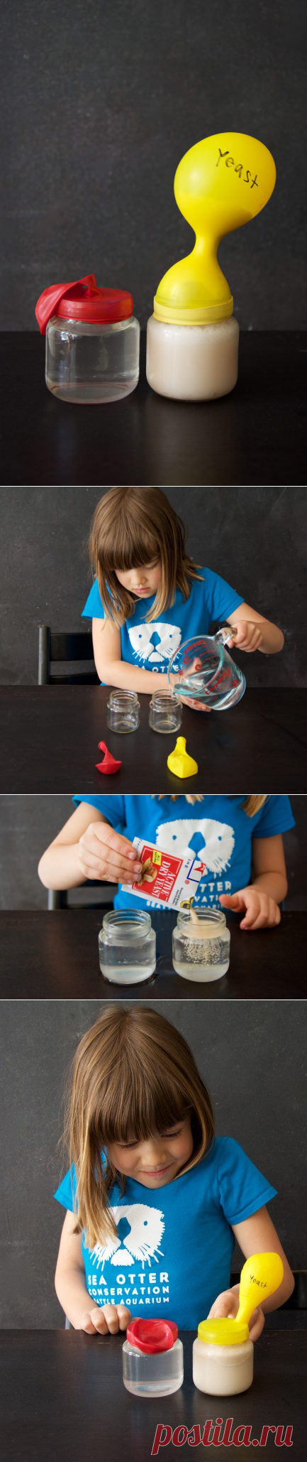 Наука Дрожжи - Playdough Платону