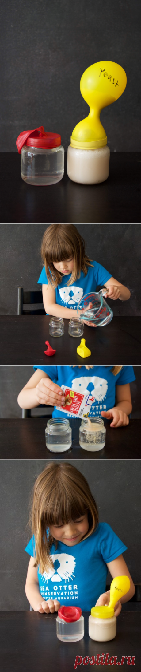 Наука Дрожжи - Playdough Платону