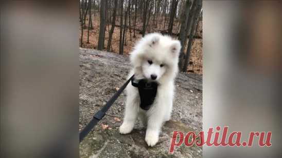 проверить свой счётчик.