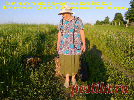 лето, поле...