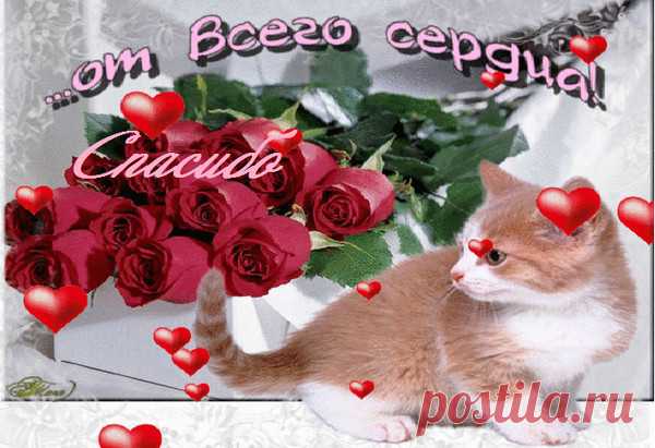 Архив открыток отправленных 12 Декабря 2015 года. Добавили: Михаил Веселов, Тамара Мовланова, Любовь Оськина, Валерий Томашевский, Найля Габдуллахатова, Татьяна , U U, Ро Мио, Екатерина Бурлака, Татьяна Пономарева, Нина Л