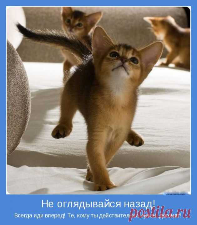 (+1) тема - Хотите счастья? | ВСЕГДА В ФОРМЕ!