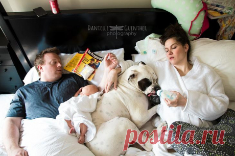 Из жизни молодых родителей