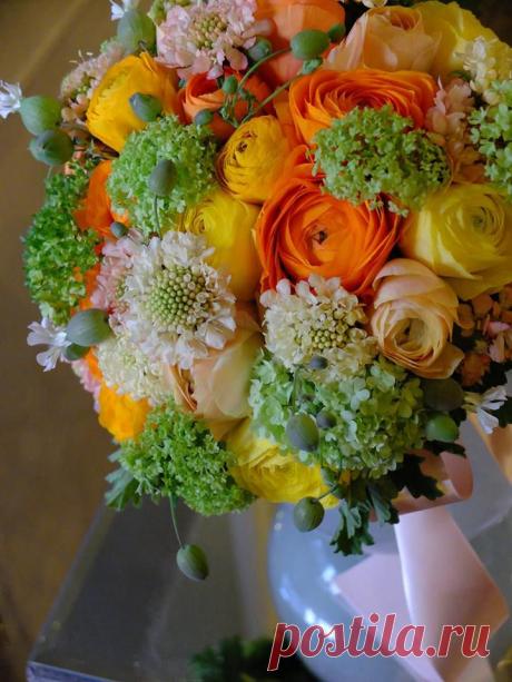 флористика