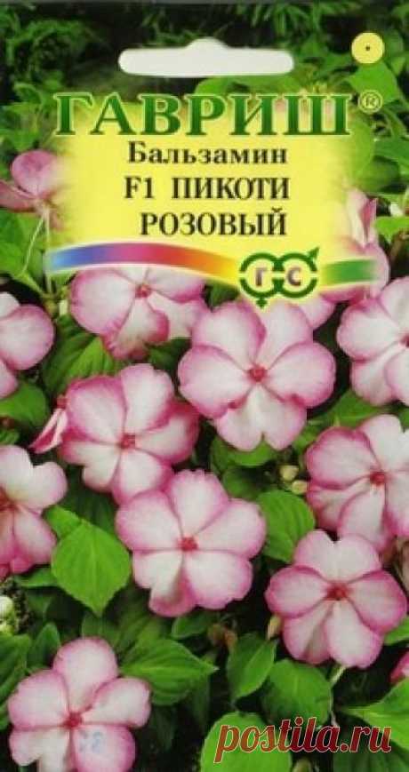 Семена. Бальзамин Уоллера F1 "Пикоти розовый" (5 штук) Всхожесть: 95%.
Однолетнее неприхотливое растение. Куст шаровидной формы высотой 25-30 см и диаметром 20-30 см. Листья темно-зеленые. Растение усыпано крупными (5-6 см), белыми цветками с ярко-розовой каймой. Цветение обильное продолжительное в течении всего сезона. Хорошо растет в...