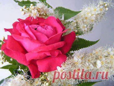 wasfee: В жизни я слышал многое — клятвы, обещания, комплименты, но лучшее, что я слышал — тишина. В ней нет лжи.