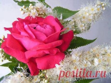 wasfee: В жизни я слышал многое — клятвы, обещания, комплименты, но лучшее, что я слышал — тишина. В ней нет лжи.