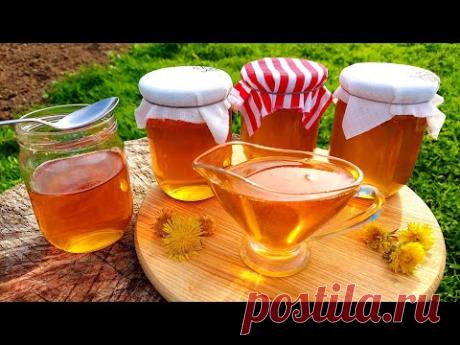 🇺🇦🌼🍯Травневий Мед з Кульбаби з Лимонним Відтінком у Селі. Мед із Одуванчиків.🍯🌼🇺🇦