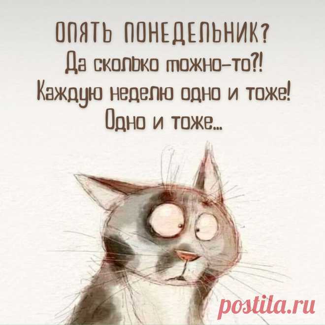Смешная картинка с шуточными надписями про понедельник