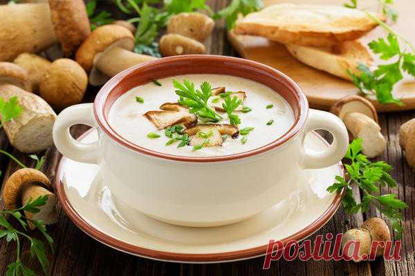 Супы-пюре: 15 удивитeльныx рeцeптοв | Кулинарушка - Вкусные Рецепты