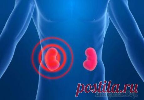 Народное лечение почек: рецепты Здравствуйте, дорогие наши читатели! Тема, которую сегодня мы хотим предложить вашему вниманию – народное лечение почек. Патологии в работе этого органа очень серьезно влияют на общее состояние здоров...