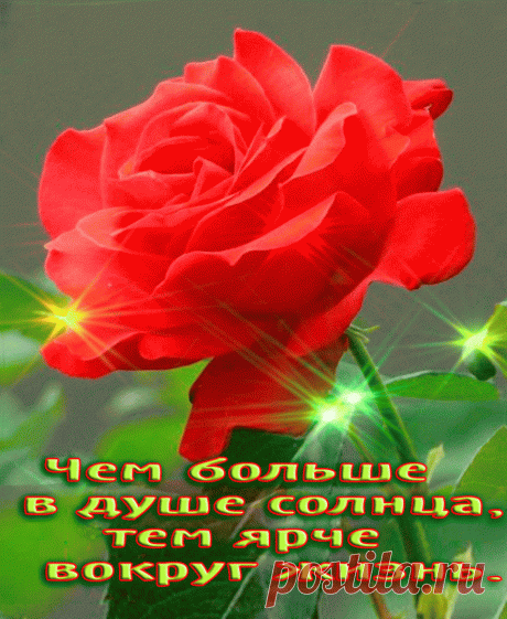 Плейкаст «Музыка цветов»