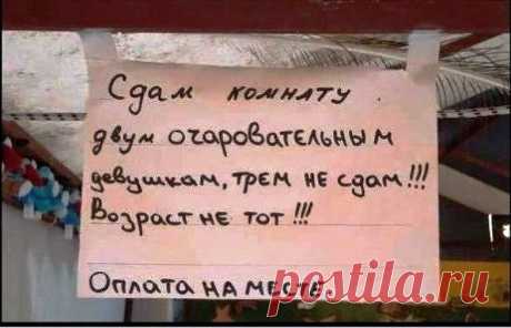Старость не радость
