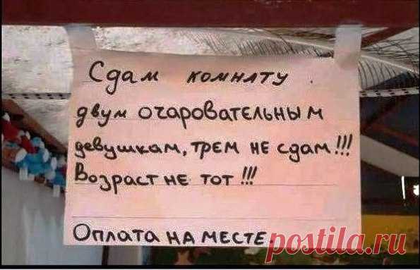 Старость не радость