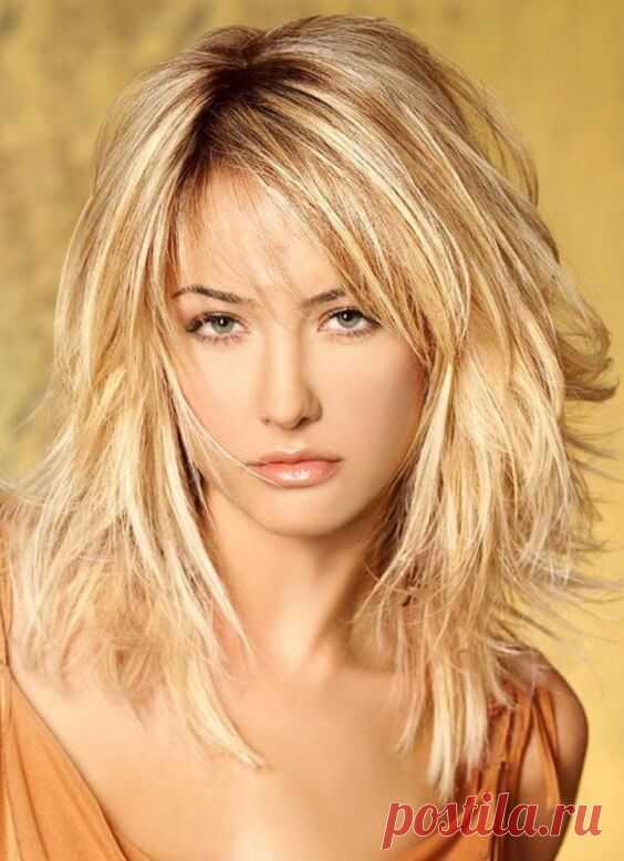 Стрижка волчица 2021