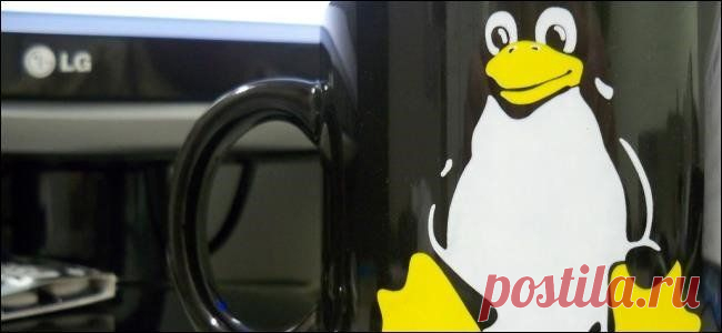 Сравнение 10 самых популярных дистрибутивов Linux | PC Ask