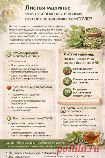 Листья малины