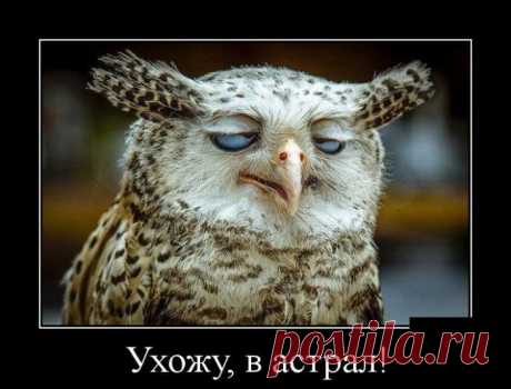 Демотиваторы - приколы