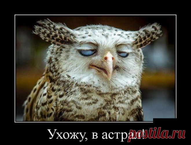 Демотиваторы - приколы