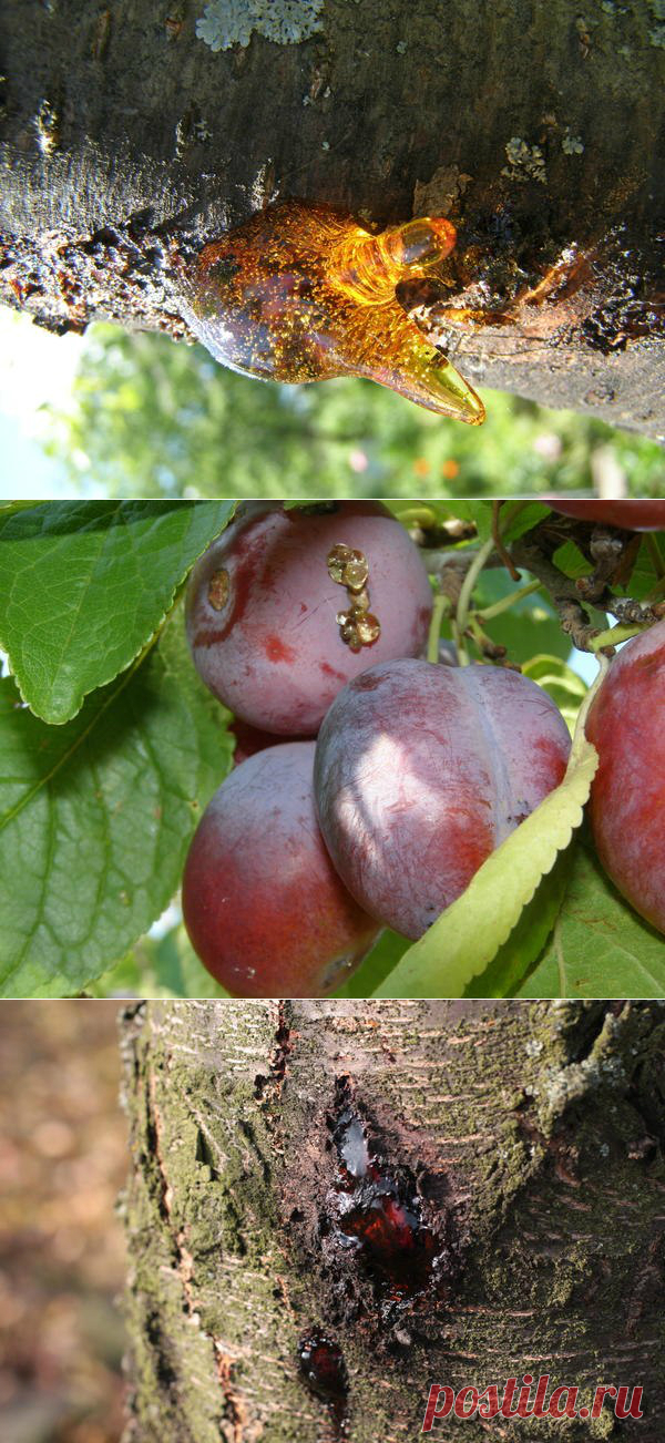 ЧТО ТАКОЕ КАМЕДЕТЕЧЕНИЕ И КАК ЕГО ПОБЕДИТЬ