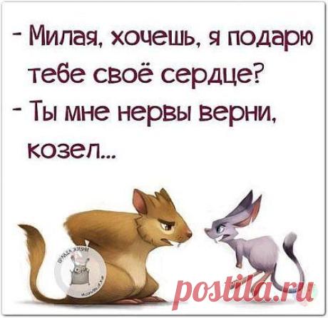 ВСЁ ЛУЧШЕЕ ИЗ YOU TUBE (16 плюс)
INGA K