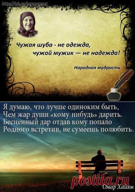 (20) Одноклассники